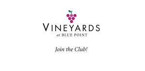 Pace Blog_The Vineyards Blue Point Brochure Cover